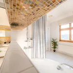 A/c Lux Rooftop 6br+3.5bath Wenceslas Square *